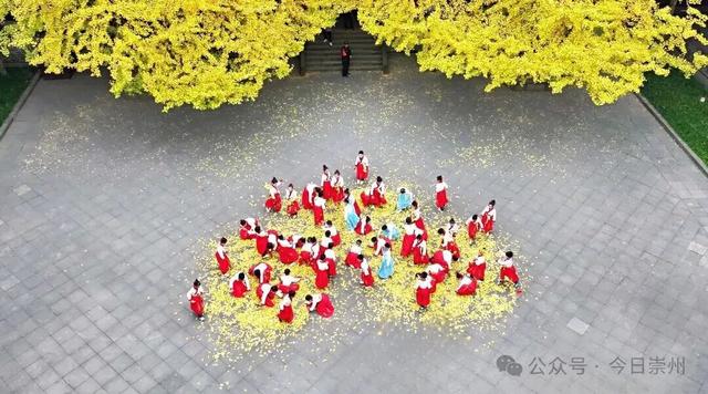 开始刷屏！🤩🤩 崇州罨画池迎来颜值巅峰