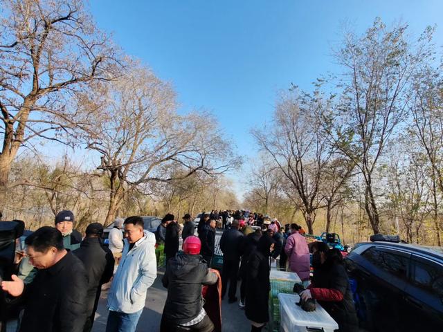 记录德州：岔河河堤上的大集，人山人海，异常热闹