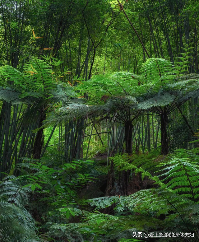 遵义市：被大娄山分割为两个遵义，除了酱香酒，还有很多宝贝呢！