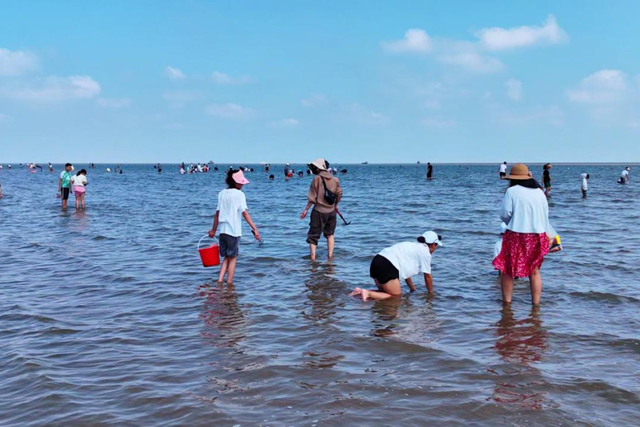 “潍坊海滨颜值担当” 每一处都让人心动