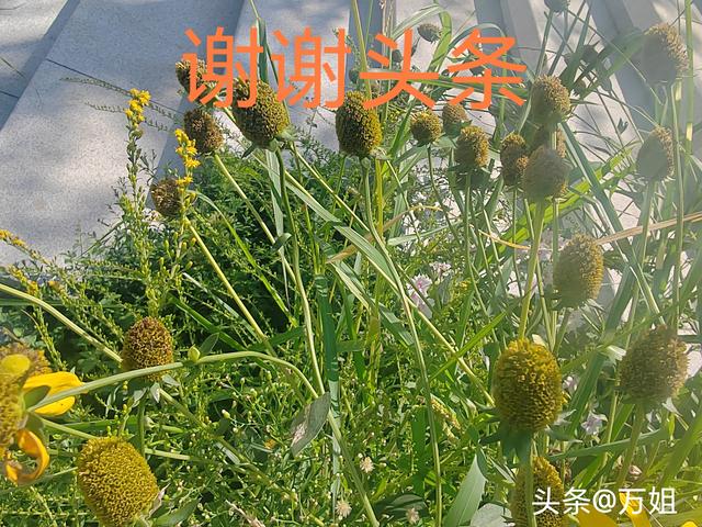两性交往，要想刺激女人的荷尔蒙，只需记住这6点，绝对让她动心