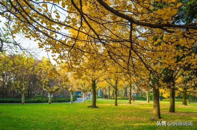 金光照耀扬州古城，这六个地点直推！