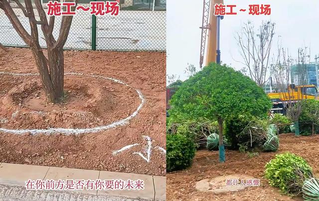 河北苗木老板李文良去世，年仅46岁，开奥迪玩手串，原因让人惋惜