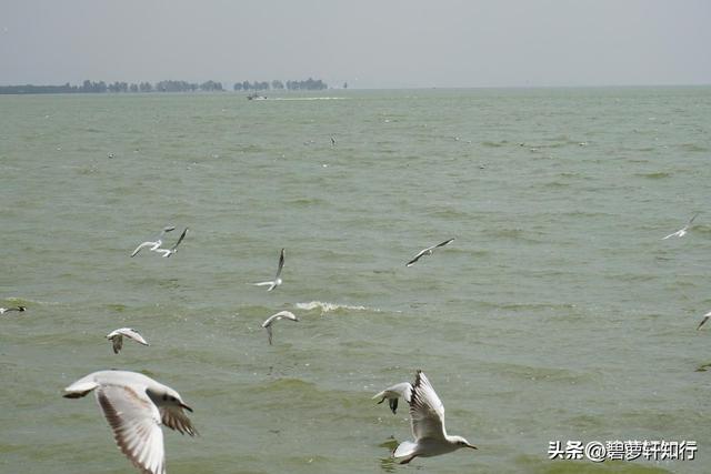云南两大高原湖泊，滇池和洱海哪个大？
