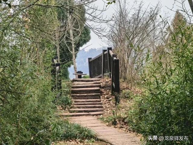龙泉山“画马”官方安全线路来了！邀市民登山迎马年