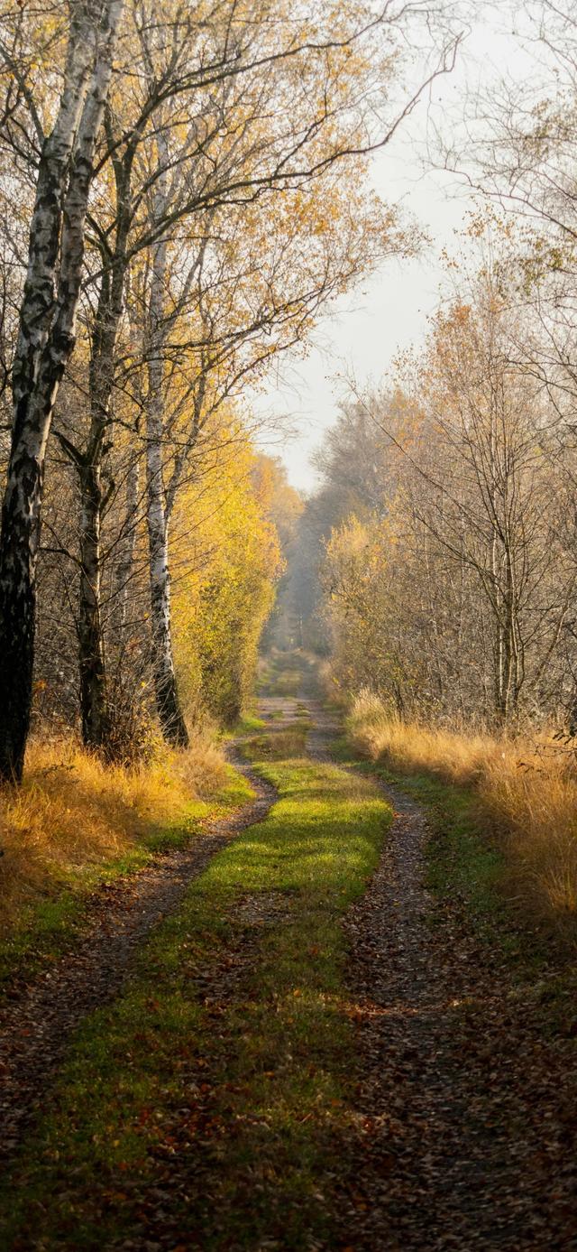 手机壁纸|iOS自然风光美景