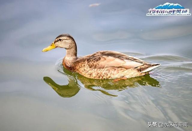 水系图鉴丨看乌鲁木齐如何用碧波书写离海最远的浪漫