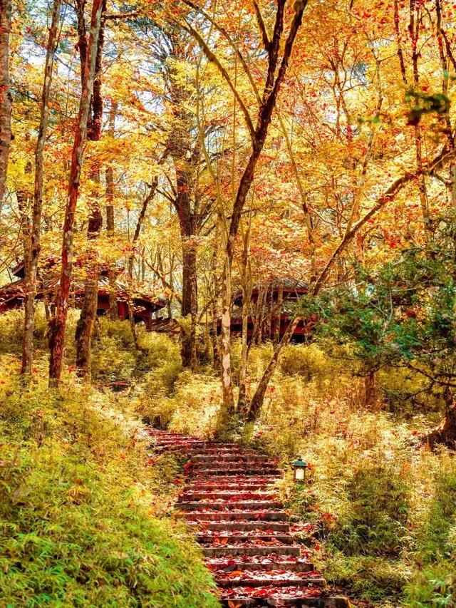 喇叭河五彩斑斓的秋天，就这样闯闯闯入视野！