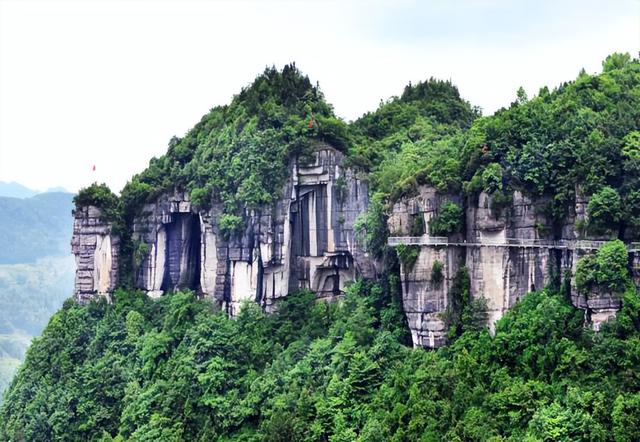 乡游黔中 · 绥阳县 蒲场镇丨茶香漫山，诗画山水迎客来