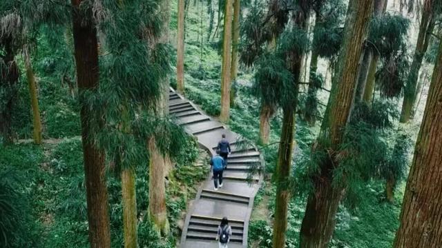 烟火成都丨景点选错＝白来？小贝亲测这篇攻略有效！