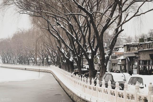 北京2006年第一场雪的温馨，每一帧照片都像是被时间雕琢过的记忆