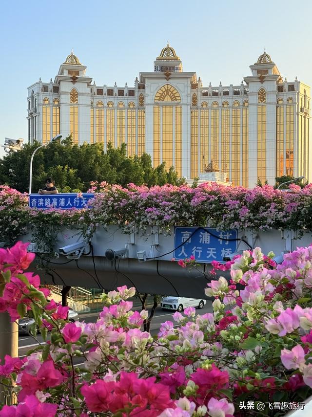 国内十二月出游攻略：五大精选目的地，带你尽享冬日绝美风情