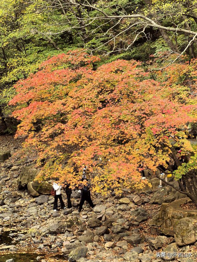 2025辽宁赏秋之旅日记(4)——游览关门山和本溪水洞