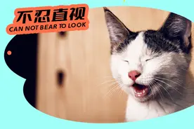 好变态啊，竟有超过91%的人爱闻自己身上这个部位图片