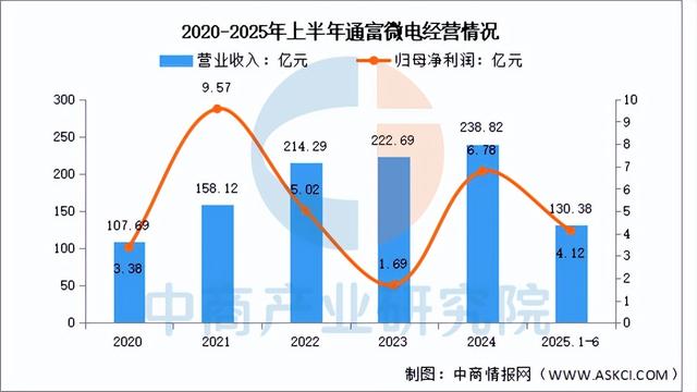 2025年中国先进封装行业市场前景预测研究报告（简版）