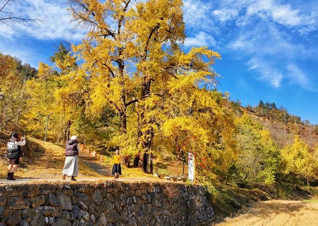 人人人车车车！富阳一地迎来大客流，太赚了！