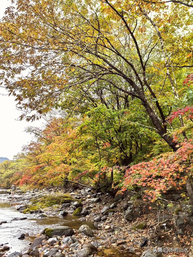 2025辽宁赏秋之旅日记(2)——游览丹东蒲石河森林公园