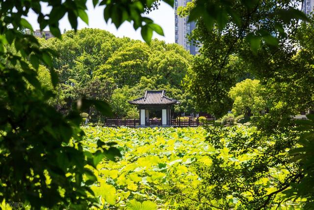在这座太湖畔的浙北小城，我能不重样的吃上一整天