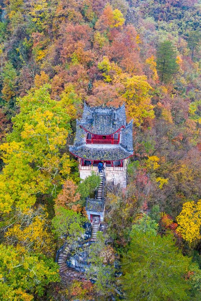 山野拾童趣!带娃来汉中这里,共享秋日亲子好时光~