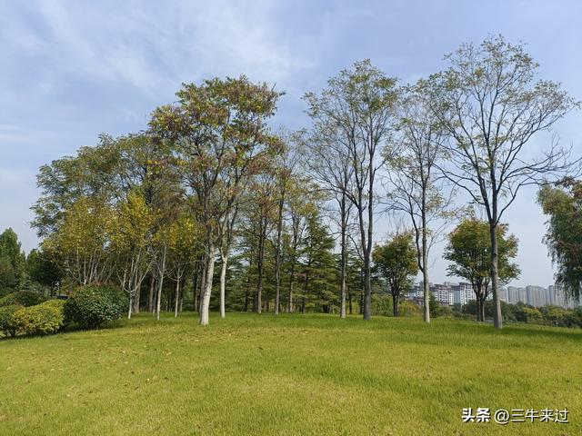 无为在歧路，国庆游淄博1