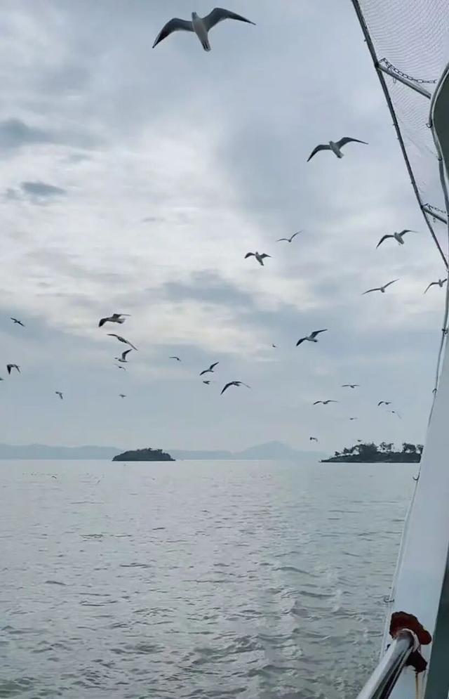 确认了！大批“顶流”抵达无锡！