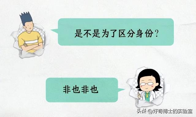 为什么淘宝订单号的后6位，是永远不变的？