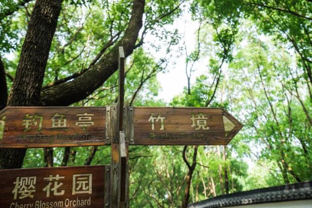 张家港很火的「线路」，后悔没早点去打卡