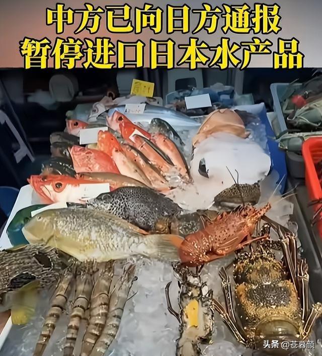 日方服软求和？高市喊话中国，强调两个不变，中方回应亮明底线