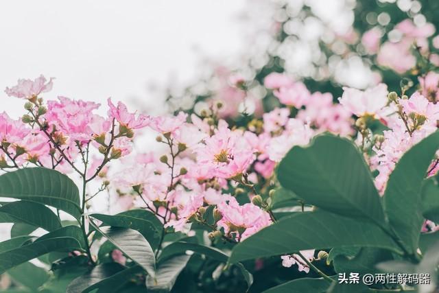 两性关系：一个男人爱不爱你给他发三个字就行没钱了想你了生病了