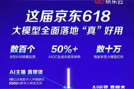 这届京东618 大模型全面落地“真”好用图片