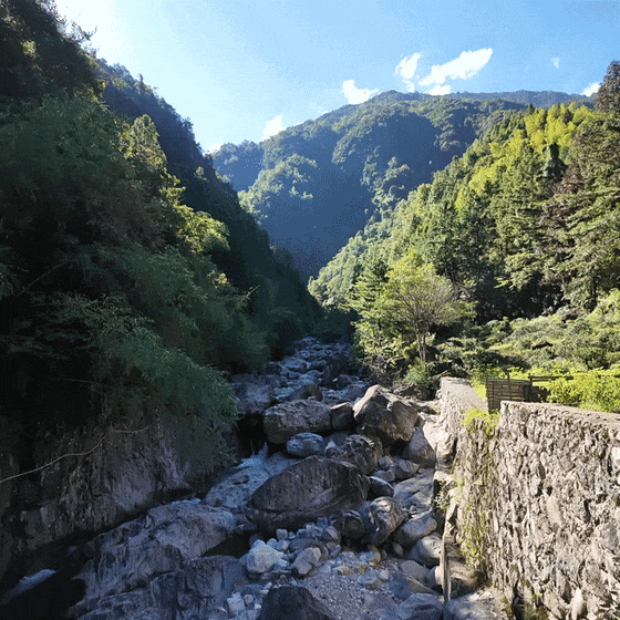 一场跨越山河的青春之约！香港学子在武夷山找到了真正的“金山银山”