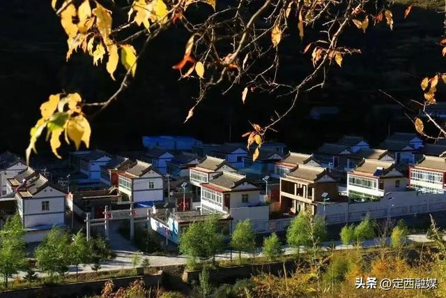 太美了！被甘J“拿捏”了