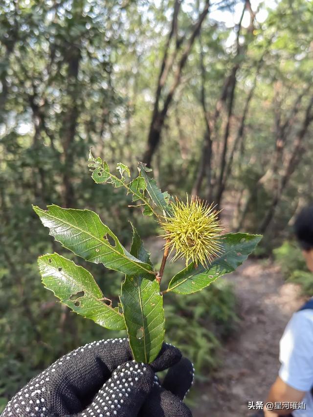 国庆第一天来到西岘峰