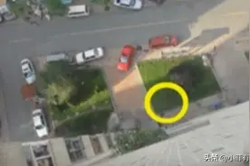 孙子结婚当天，82岁奶奶留诅咒遗书从12楼跳下，遗言：你不得好死图片