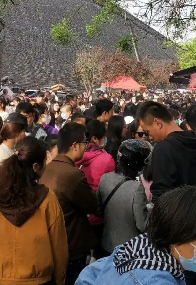 别只盯着不夜城！清明去西安，早上5点半的大雁塔才是真长安