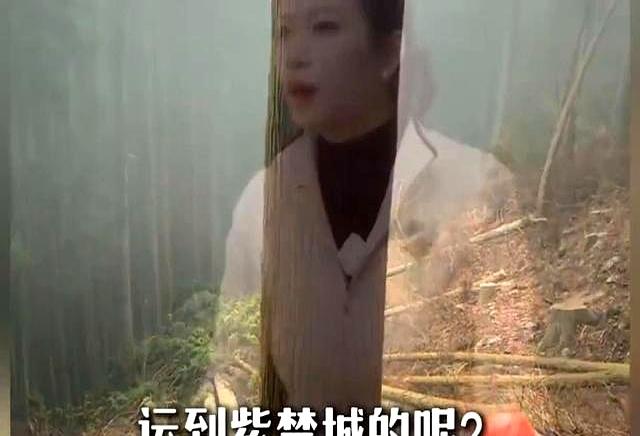 故宫是谁建的？为什么故宫没有一根钢筋却能600年不倒呢？