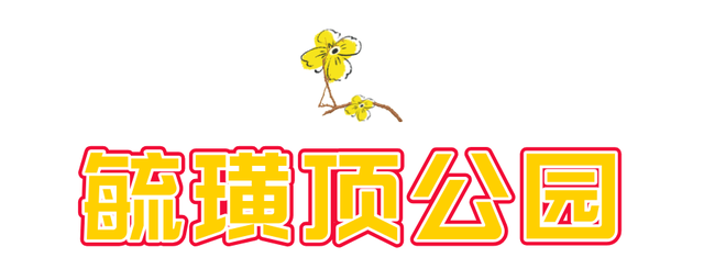 此刻！烟台花花花花花开了