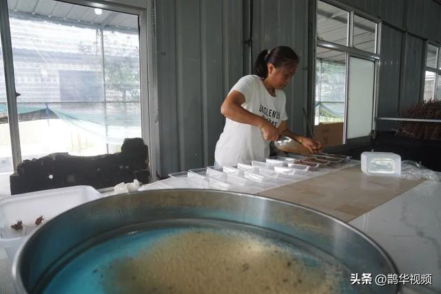 一天收入7万多元！青岛一对70后夫妇包了110亩地，树上生钱地下生金……“好日子总算来了！”