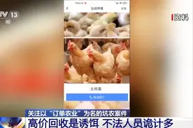高价回收是诱饵！警惕以“订单农业”为名的骗局图片