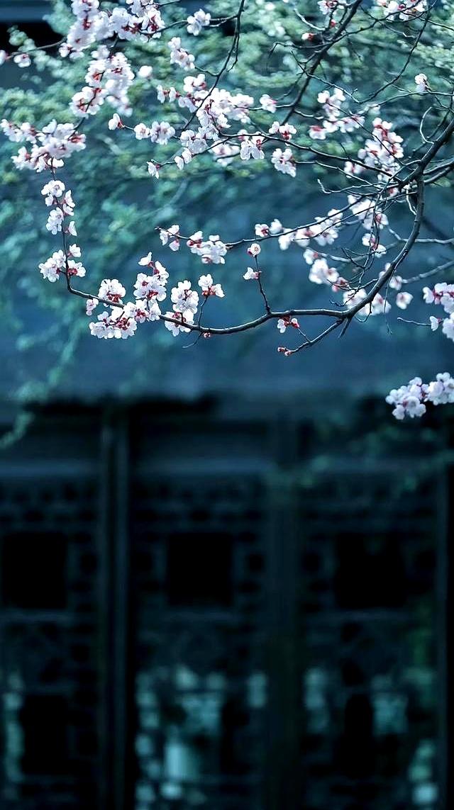 格局就是看不见别人的坏，境界就是看得见别人的好