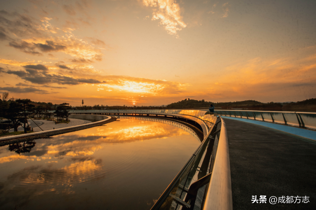 注意！这不是油画，而是成都的彩色秋天！