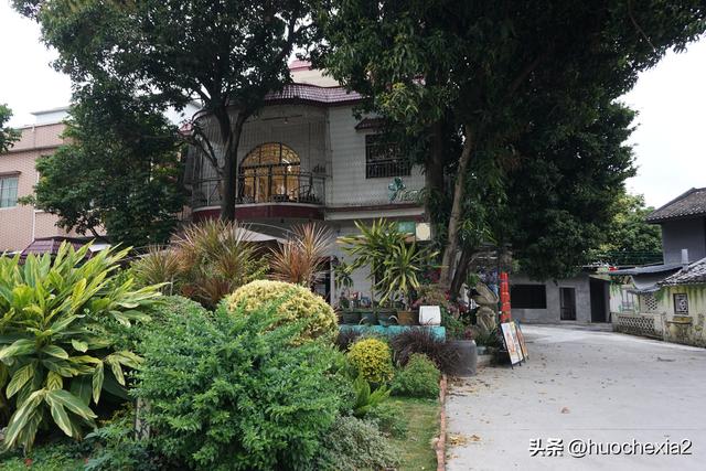 佛山真好逛——多彩的大墩村