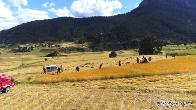低调到让人心疼！西藏昌都藏着世界级风景，让人惊叹！
