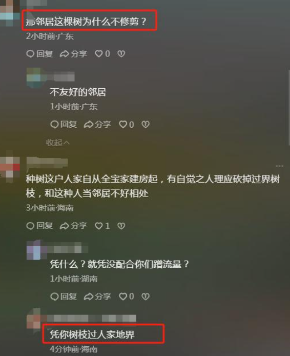 全红婵家建房再受阻后续！越界大树“挡路”不让砍，邻居终于妥协