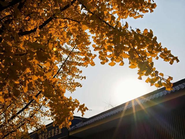 许昌人，这两天请抓紧时间出门