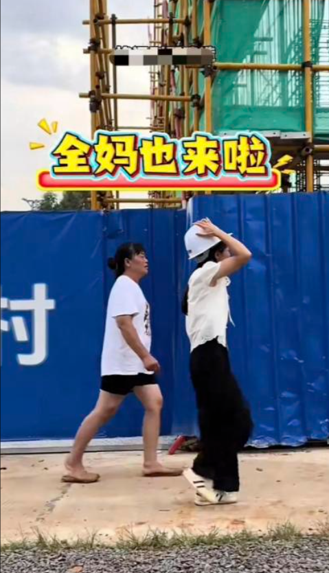 阻工大树已修剪！婵宝家建房全力加速中，网友表示祝贺与期待