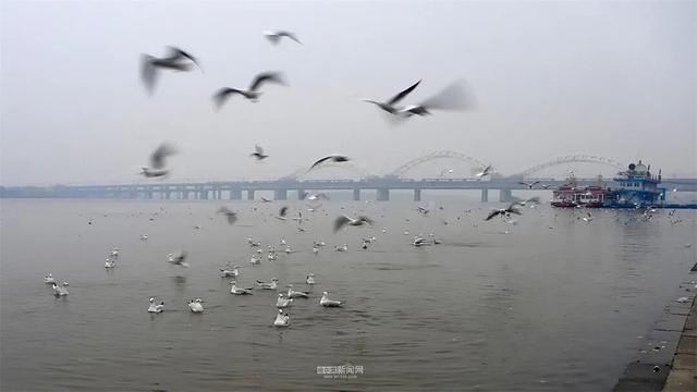 这样的哈尔滨，你见过吗？