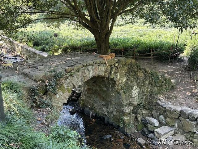 杭州印象·灵隐飞来峰
