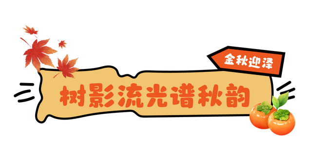 太原市迎泽区：府城漫步｜满城色彩绘就秋日画卷
