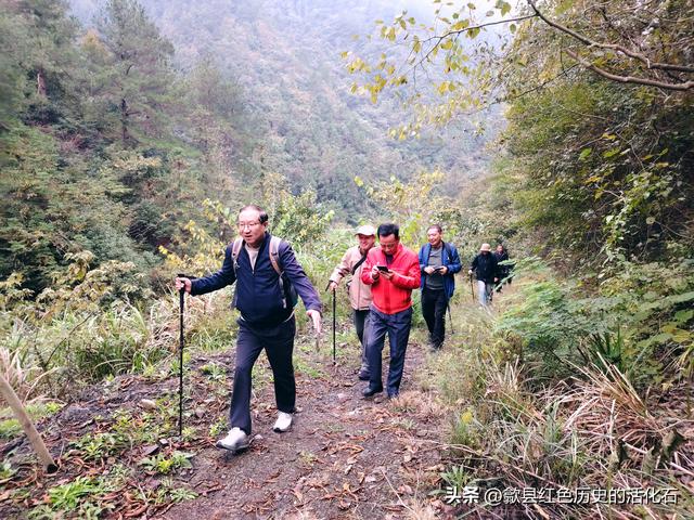 徒步牛栏坪赏高山草甸